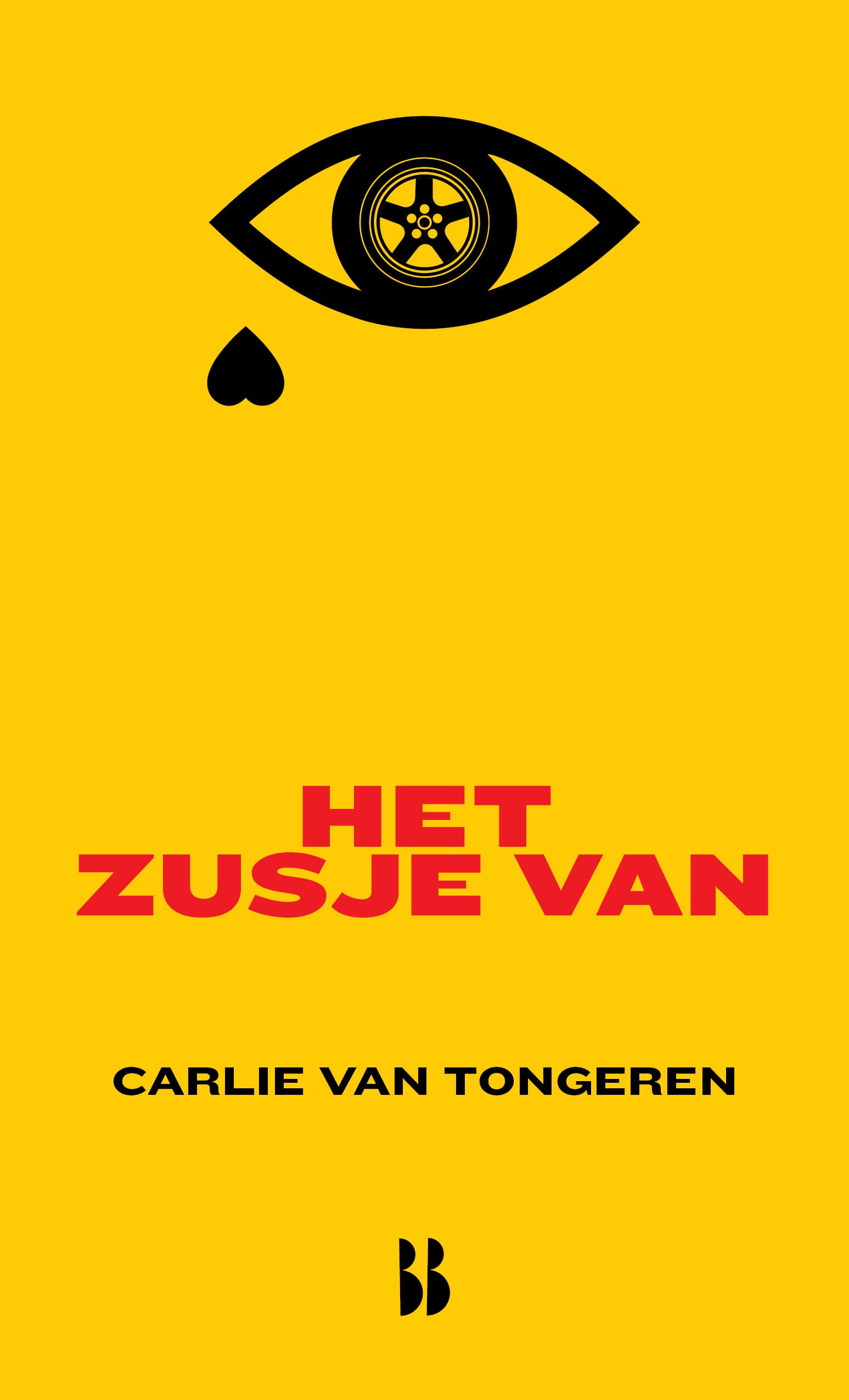 Cover Het zusje van 2D